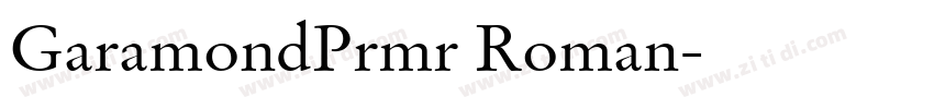 GaramondPrmr Roman字体转换